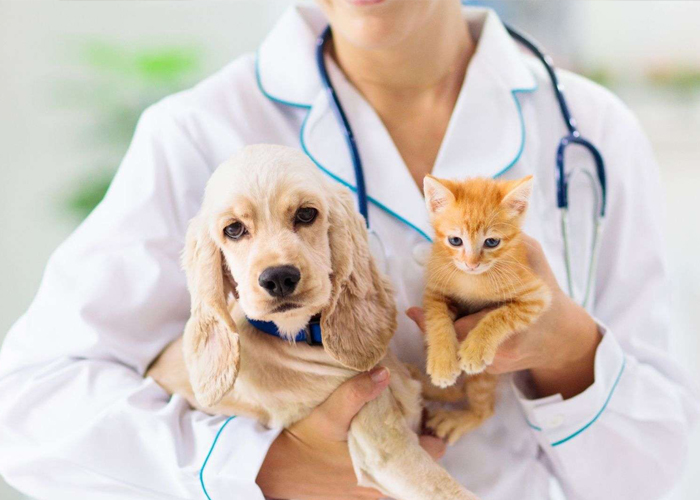 aa
